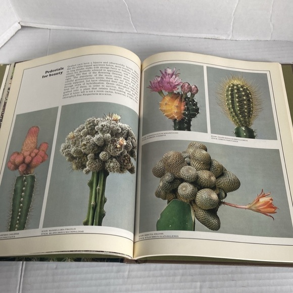 The Time Life Encyclopedia of Gardening Cacti Succulents Temp & Characteristics - Picture 7 of 15